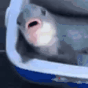 fishSUCK animated emote