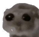 ohVibe emote
