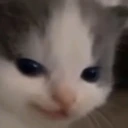 CE_Smug2 emote