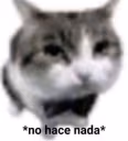noHaceNada emote