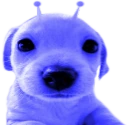 blerp emote