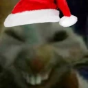 xdx emote