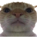 BRUH emote