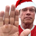 arnoldHalt emote