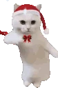 CatTime emoji