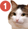 kiisu_ping emote