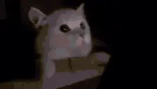 FLASHBANG emote