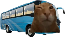 buhs emote