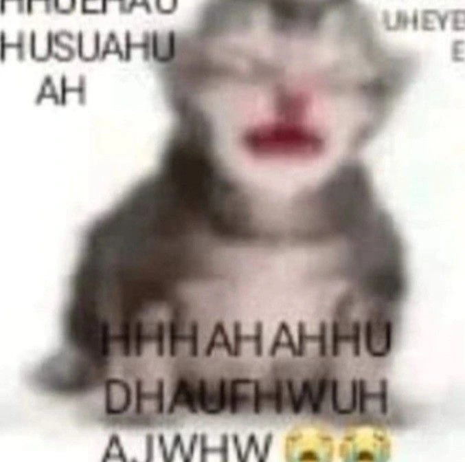 CryingCat emote