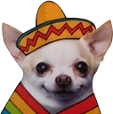 ADIOS emote