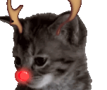 yawner animated emote