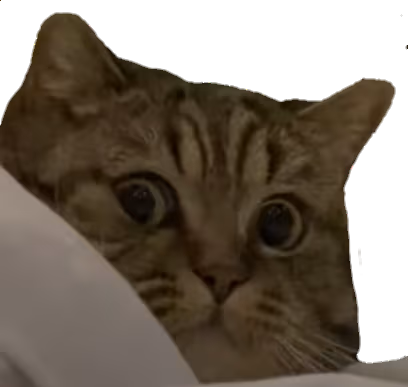 ExcuseMe emote