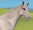 kon_kremilo emote