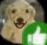 approved emote