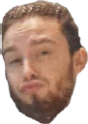 WowMitchell emote
