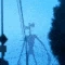 sirenhead_default_dance emote