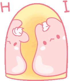 rabbit_hi emote
