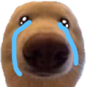 dawg_cry static emote