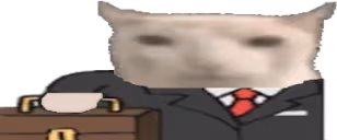 pspBusiness emote