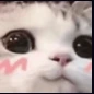 NotGuilty emoji