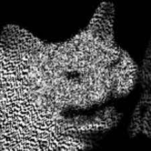 spug3 avatar