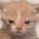 grompy emote