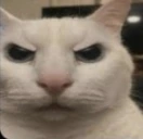 ElCuandoNoAy emote