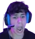 ronWHAT emote