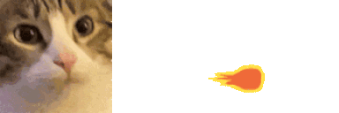 catFireball animated emote