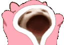 Blankies animated emote