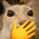 yonodijeeso emote