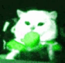 SpriteShakey emoji