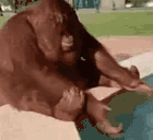 MonkeWash animated emote
