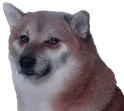 stop_pls emote
