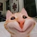 cat_hihi emote