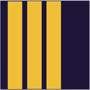 Airline_First_Officer emote