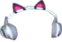 Bridge emote