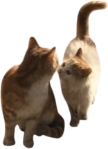 two_cats emote