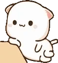 CatWaiting emote