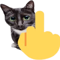 middlefingercat emote