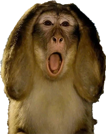 monkeypanicked emote