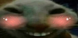 xddFlush emote