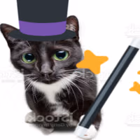 wizardcat emote