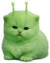 chudlorp emote