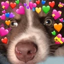 Sad_Love_Dog emote