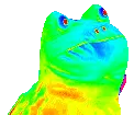 rainbowfrog emote