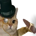rich_cat emote