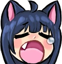 cry_kitty emote
