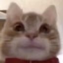 frank emote
