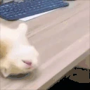 eepington emote